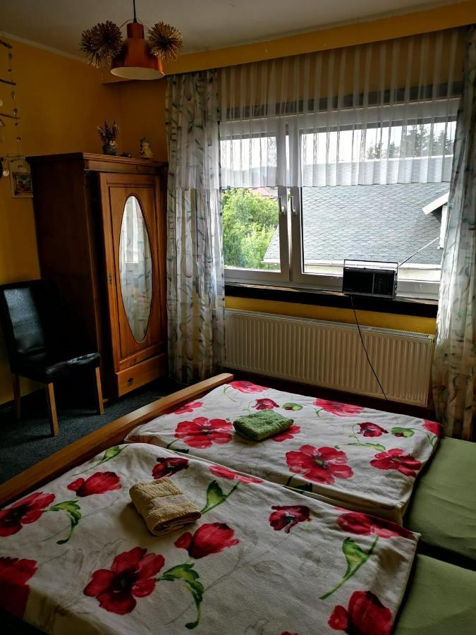 Gehlberger Landhaus Am Schneekopf / Ferienwohnung Зуль Экстерьер фото